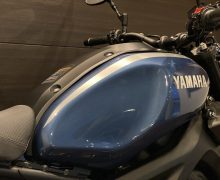 XSR 900 サムネイル5
