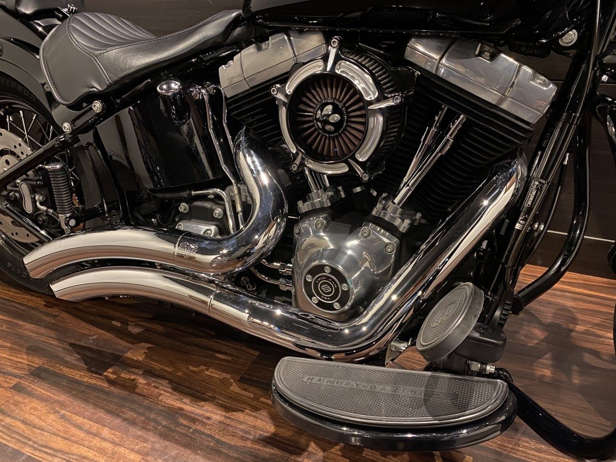 FLS 1580 ソフテイルスリム インジェクション イメージ4