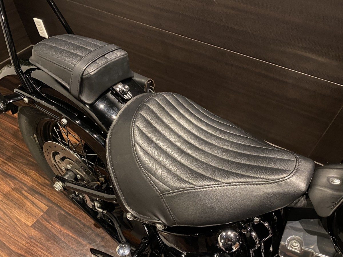 FLS 1580 ソフテイルスリム インジェクション イメージ7