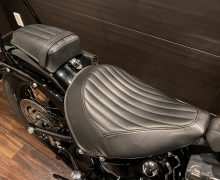 FLS 1580 ソフテイルスリム インジェクション サムネイル7