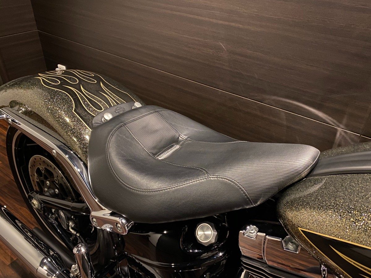 FXSB 1690 ブレイクアウト インジェクション イメージ8