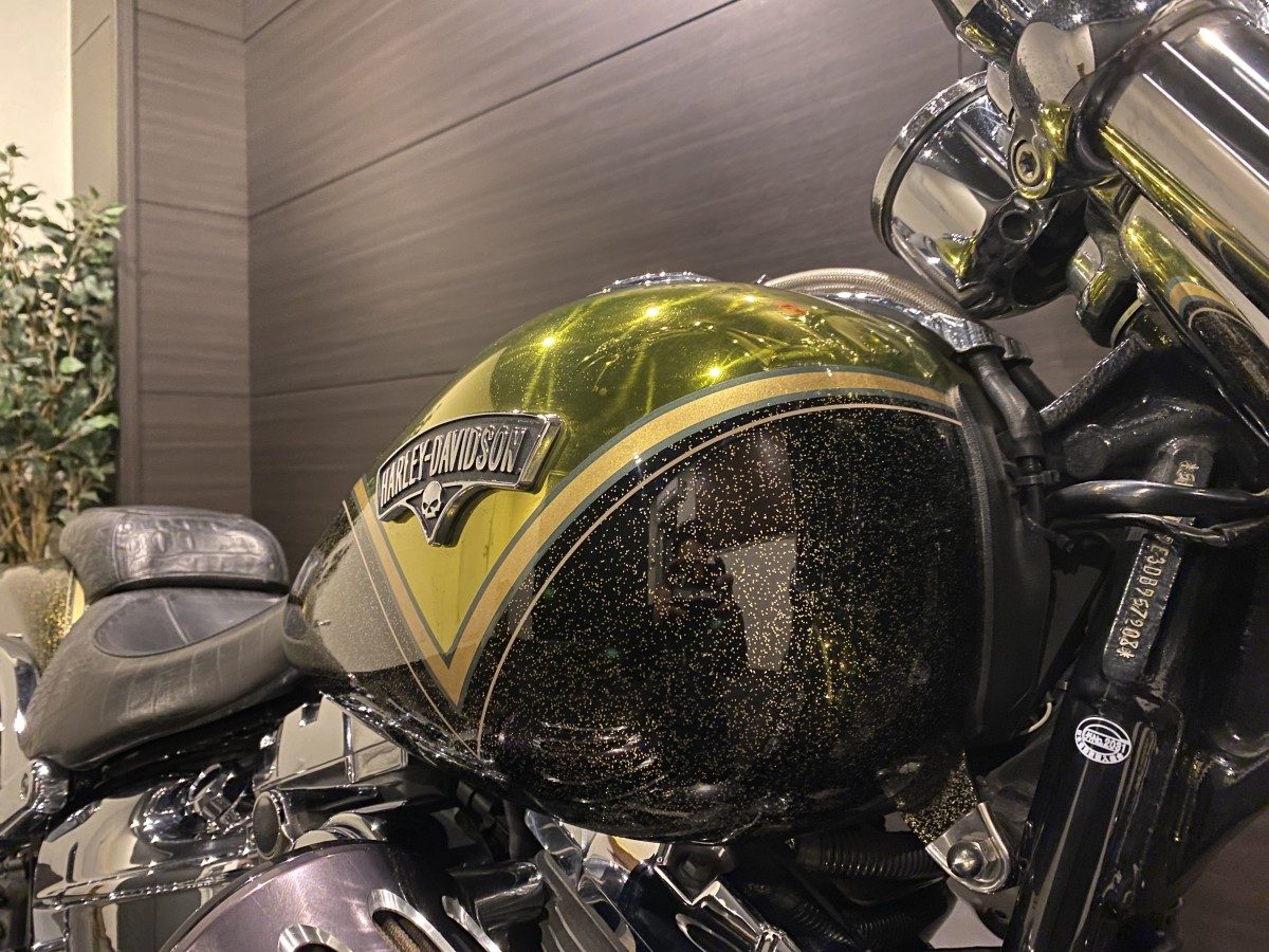 FXSBSE CVO 1800 ブレイクアウト ソフテイル TC110 インジェクション イメージ6