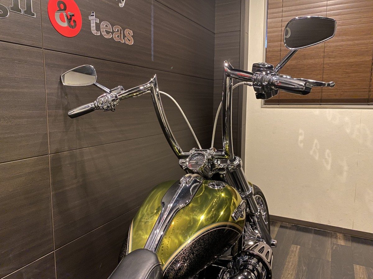 FXSBSE CVO 1800 ブレイクアウト ソフテイル TC110 インジェクション イメージ7