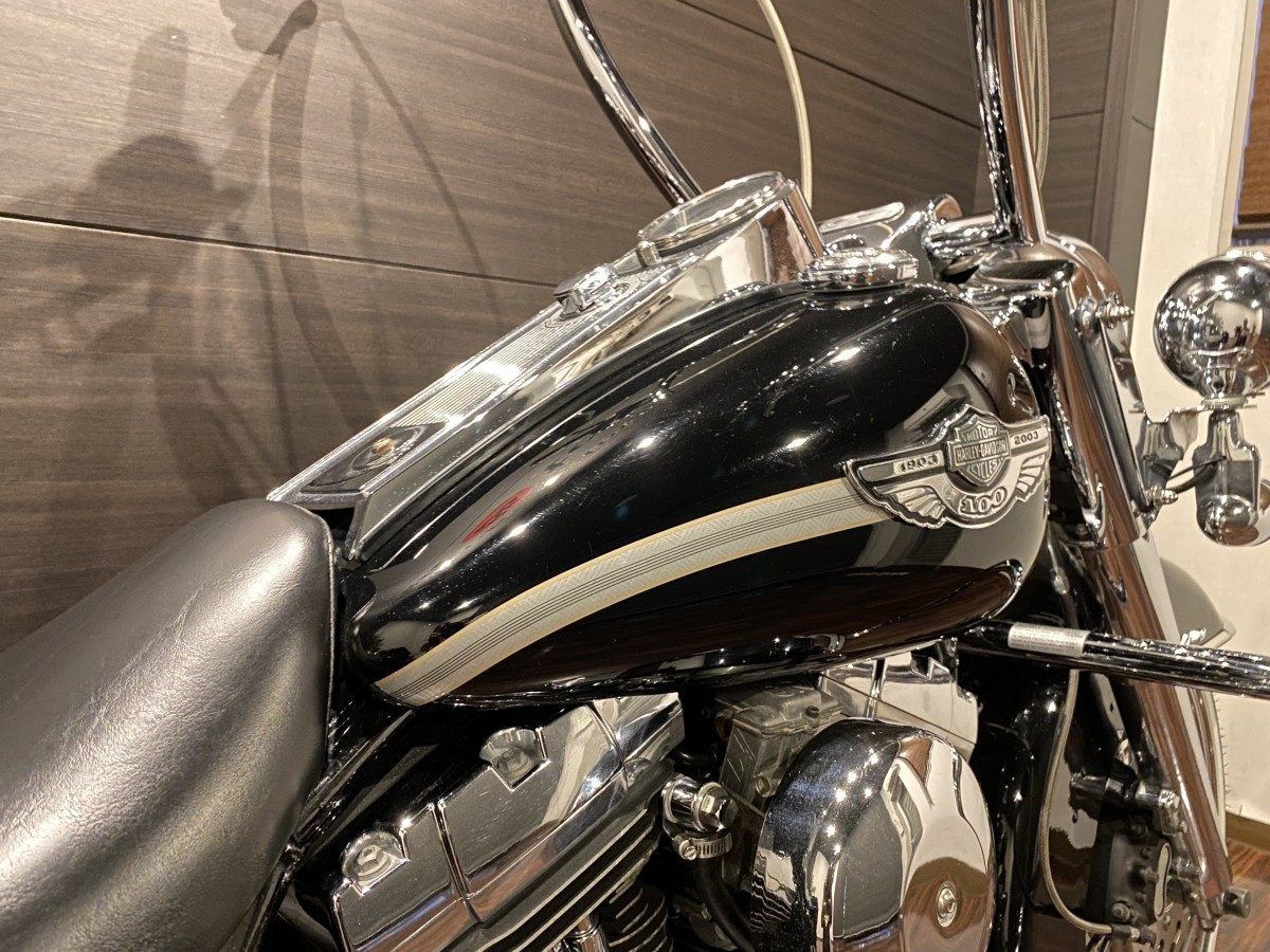 FLHR 1450 ロードキング ツーリング TC88 キャブ イメージ5