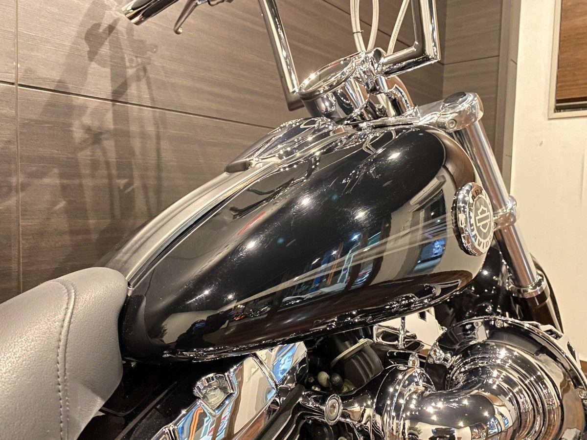 FXSB 1580 ブレイクアウト TC96 インジェクション イメージ6