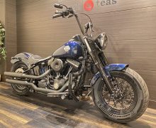 FLS 1580 ソフテイル スリム TC96 インジェクション サムネイル2