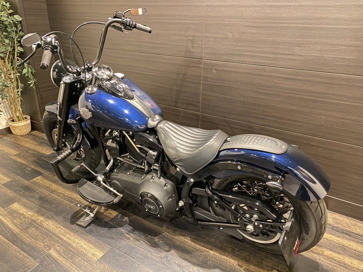 FLS 1580 ソフテイル スリム TC96 インジェクション イメージ10