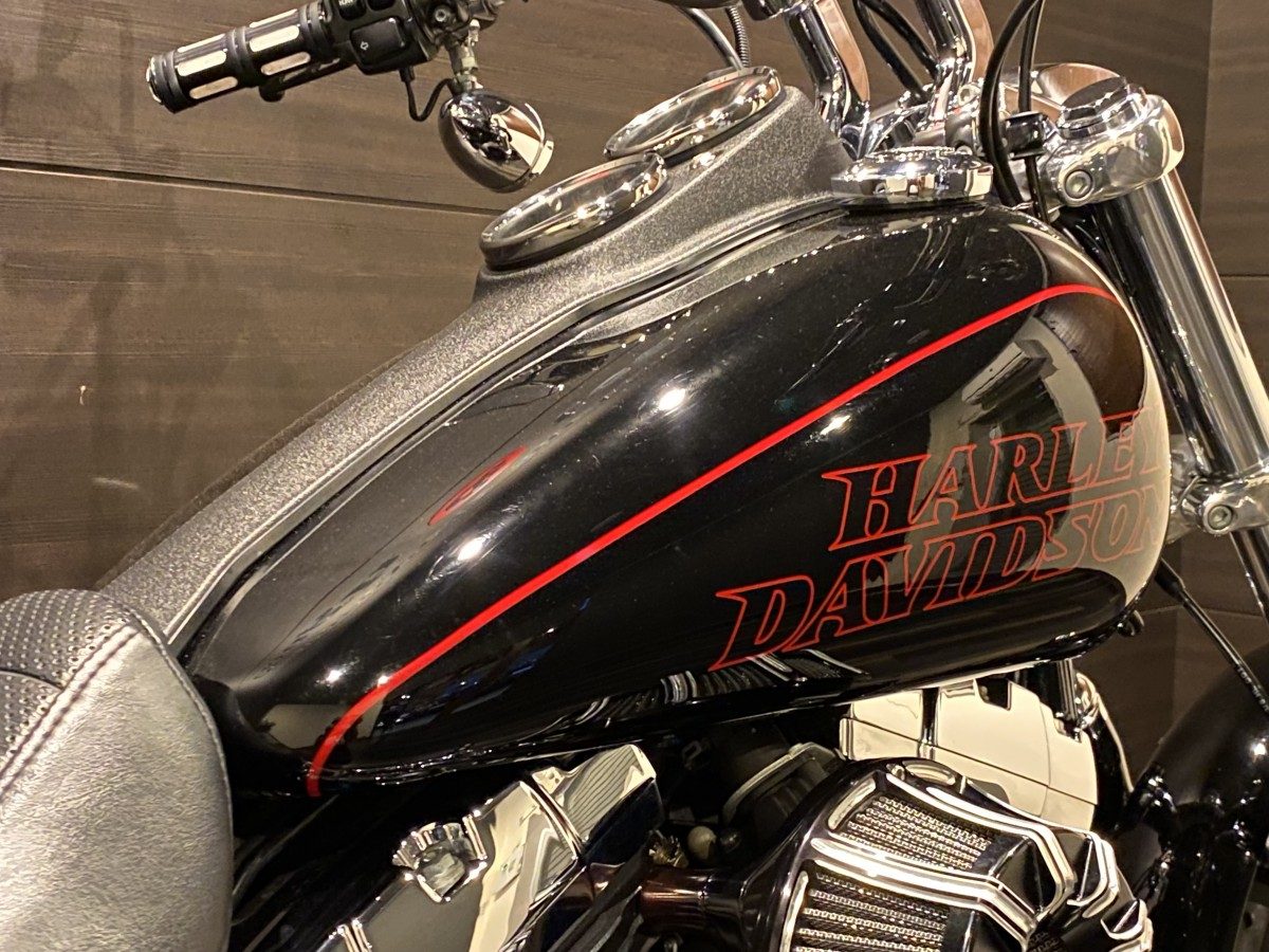 FXDL 1690 ダイナ ローライダー TC103 インジェクション イメージ5