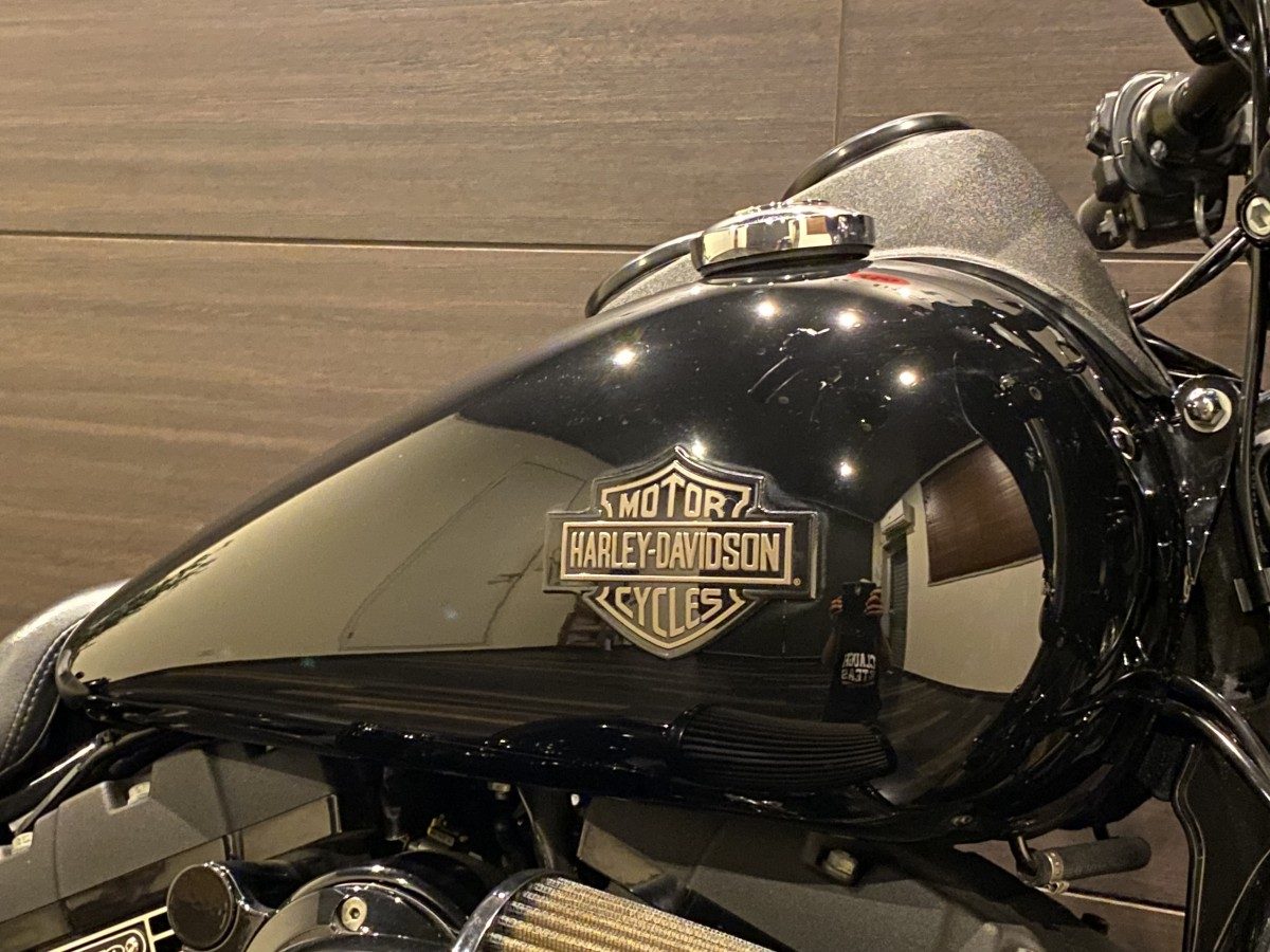 FXDLS 1800 ローライダーS ダイナ TC110 最終ツインカム インジェクション イメージ6