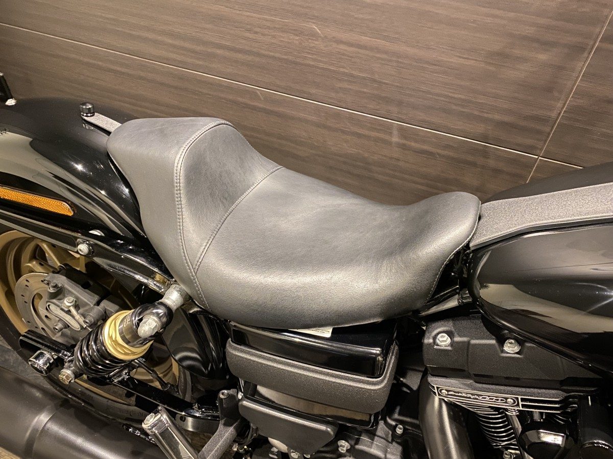 FXDLS 1800 ローライダーS ダイナ TC110 インジェクション イメージ8