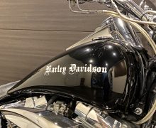 FXST 1450 ソフテイル スタンダード TC88 キャブ サムネイル7