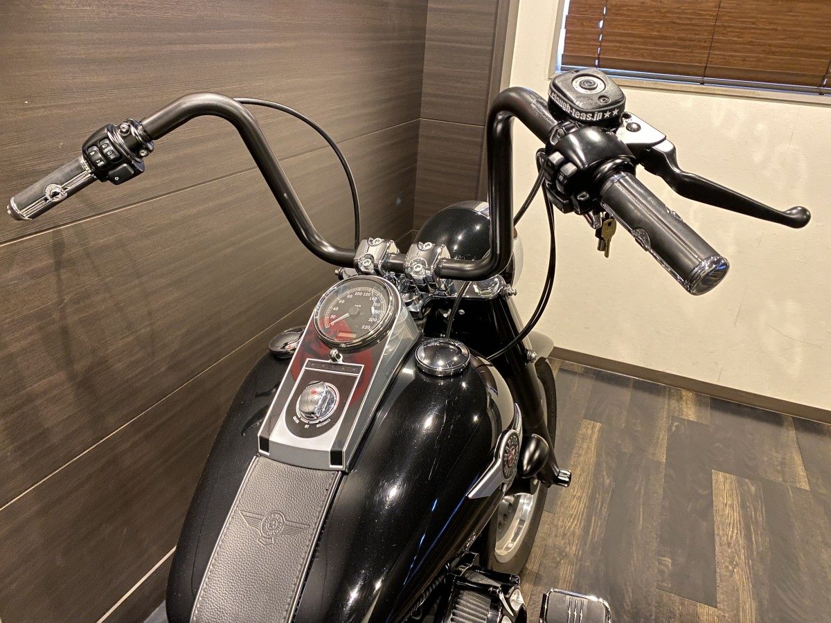 FLSTFB 1580 ファットボーイ ロー ソフテイル TC96 インジェクション イメージ7