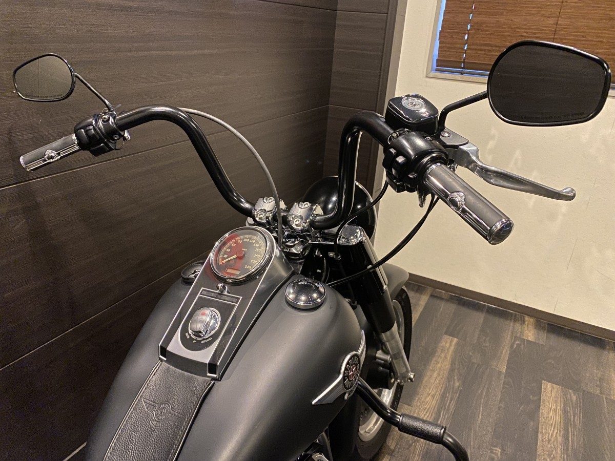 FLSTFB 1580 ファットボーイ LOW ソフテイル TC96 インジェクション イメージ7