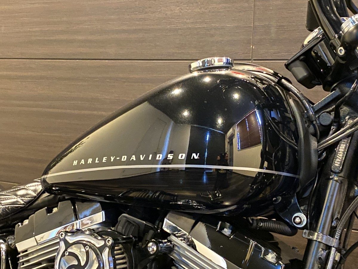 FXS 1580 ブラックライン ソフテイル TC96 インジェクション イメージ6