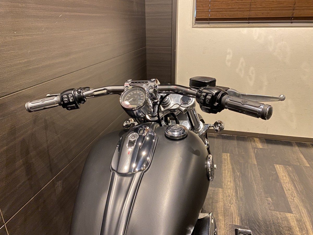 FXSB 1690 ブレイクアウト ソフテイル TC103 インジェクション イメージ7