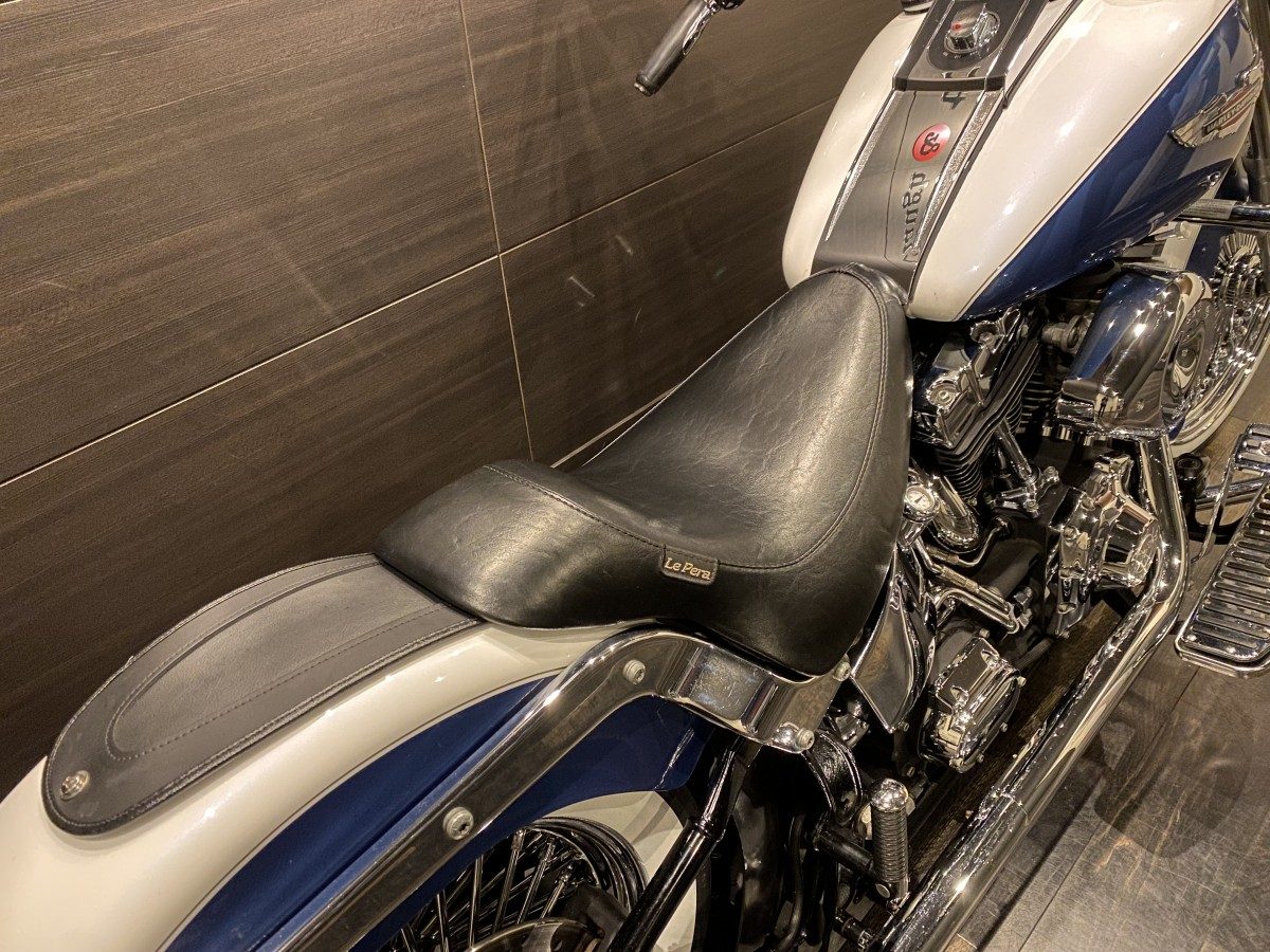 FLSTN 1450 ソフテイルデラックス ソフテイル TC88 キャブ イメージ8