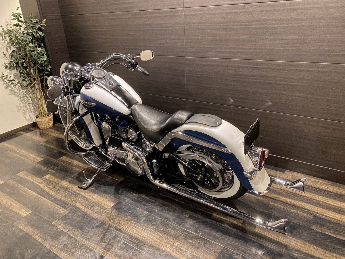 FLSTN 1450 ソフテイルデラックス ソフテイル TC88 キャブ イメージ12
