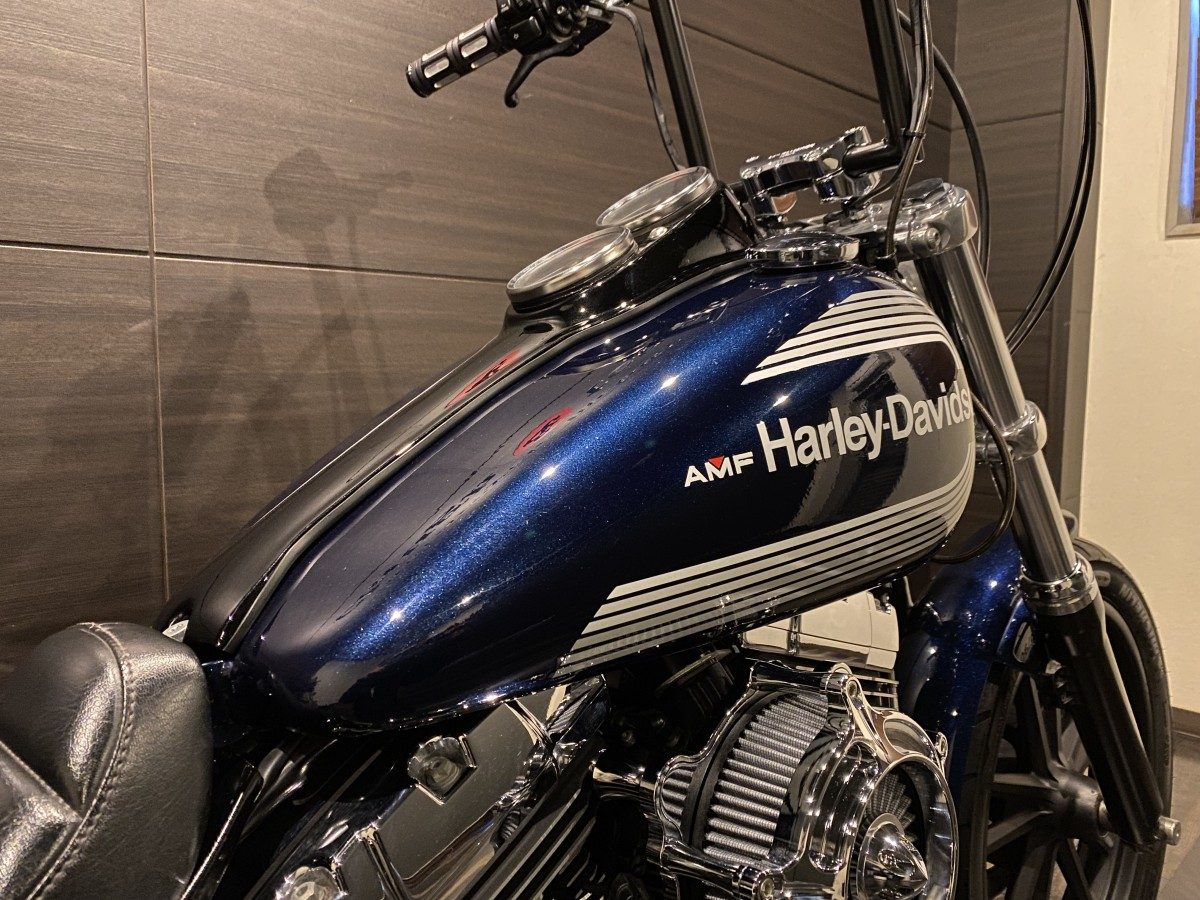 FXDL 1450 ローライダー ダイナ TC88 インジェクション イメージ5