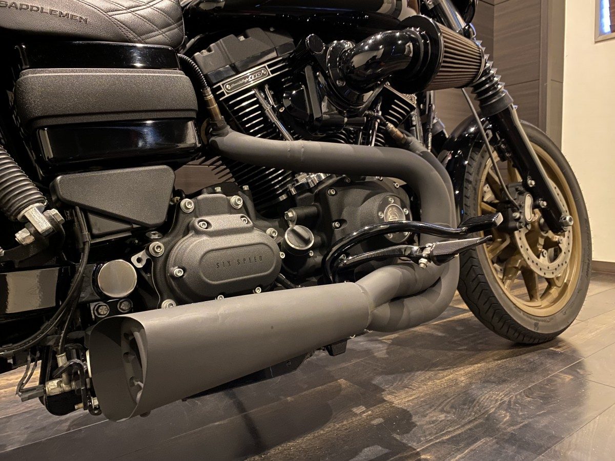 FXDLS 1800 ローライダーS ダイナ TC110 インジェクション イメージ8