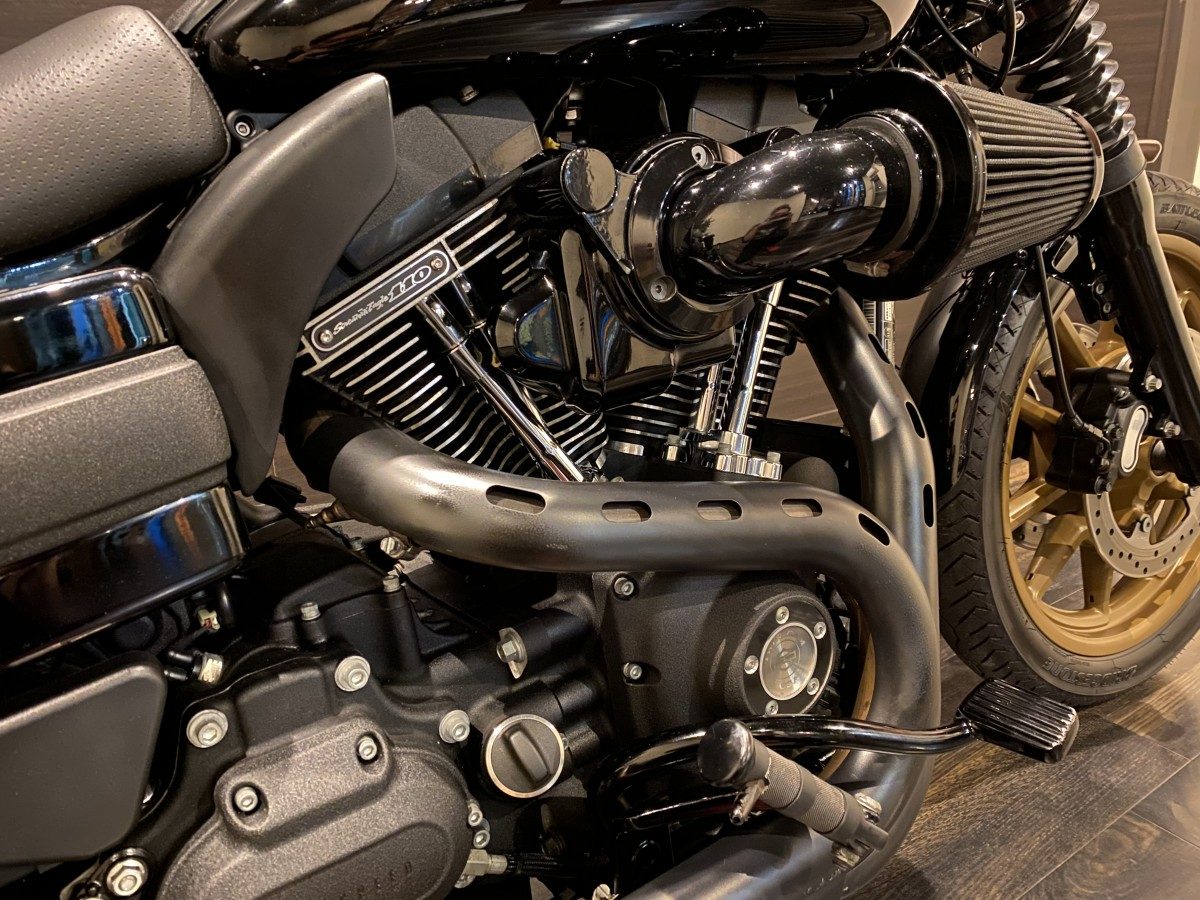 FXDLS 1800 ローライダーS ダイナ TC110 インジェクション イメージ4