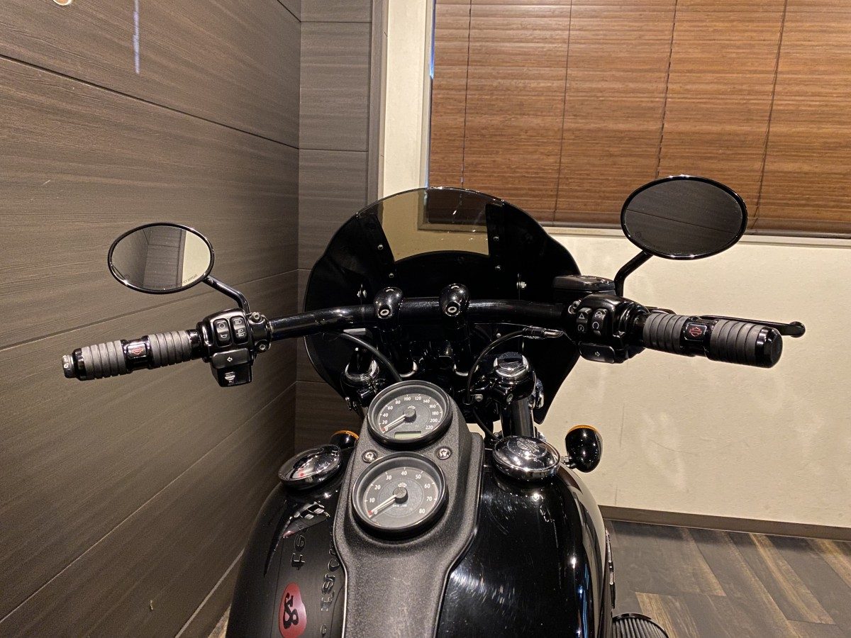 FXDLS 1800 ローライダーS ダイナ TC110 インジェクション イメージ6