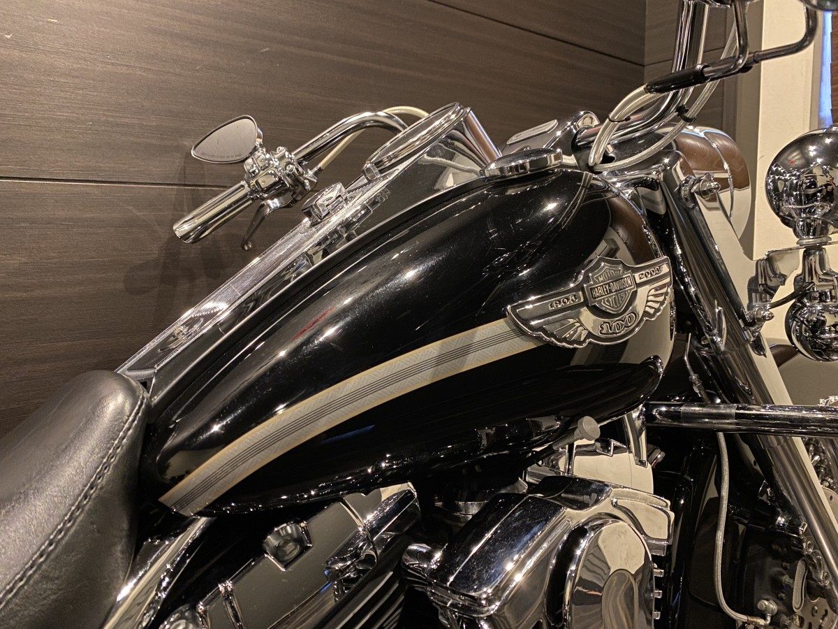 FLHR 1450 ロードキング ツーリング TC88 100周年記念モデル キャブ イメージ5