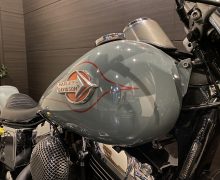FXDL 1450 ローライダー ダイナ TC88 キャブ サムネイル6