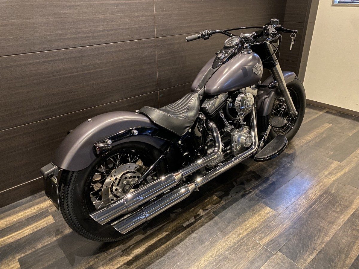 FLS 1580 ソフテイルスリム ソフテイル TC96 インジェクション イメージ3