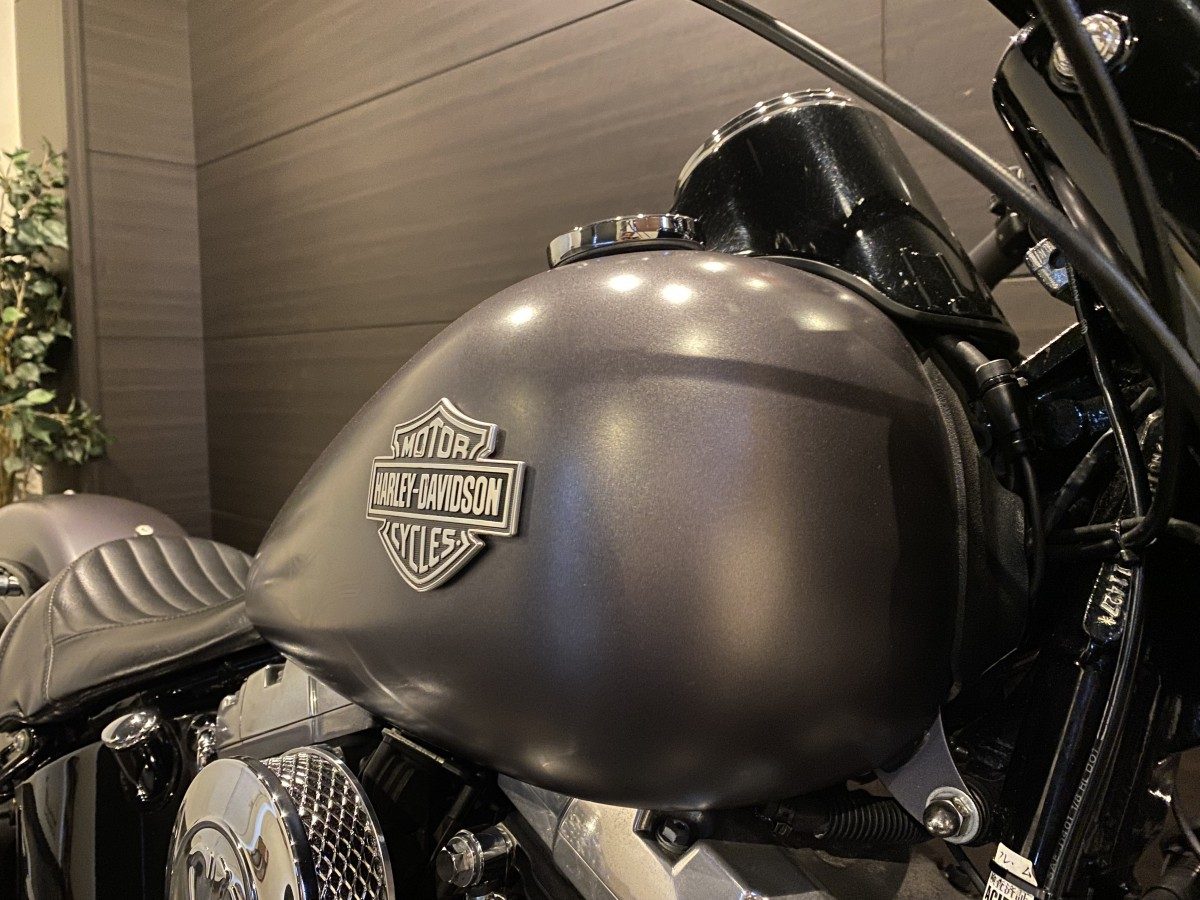 FLS 1580 ソフテイルスリム ソフテイル TC96 インジェクション イメージ6