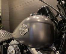 FLS 1580 ソフテイルスリム ソフテイル TC96 インジェクション サムネイル6