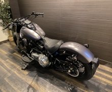 FLS 1580 ソフテイルスリム ソフテイル TC96 インジェクション サムネイル12