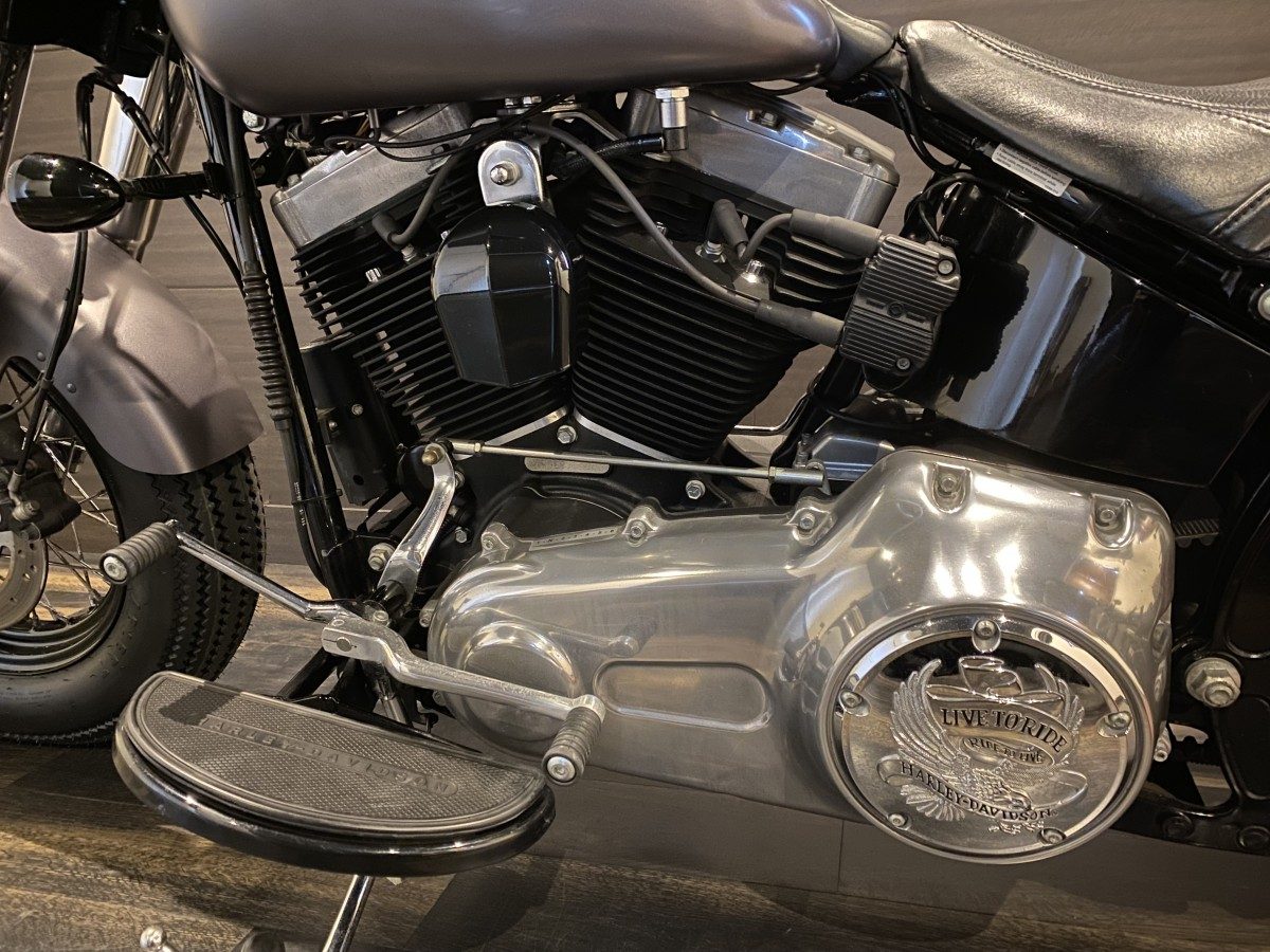 FLS 1580 ソフテイルスリム ソフテイル TC96 インジェクション イメージ13