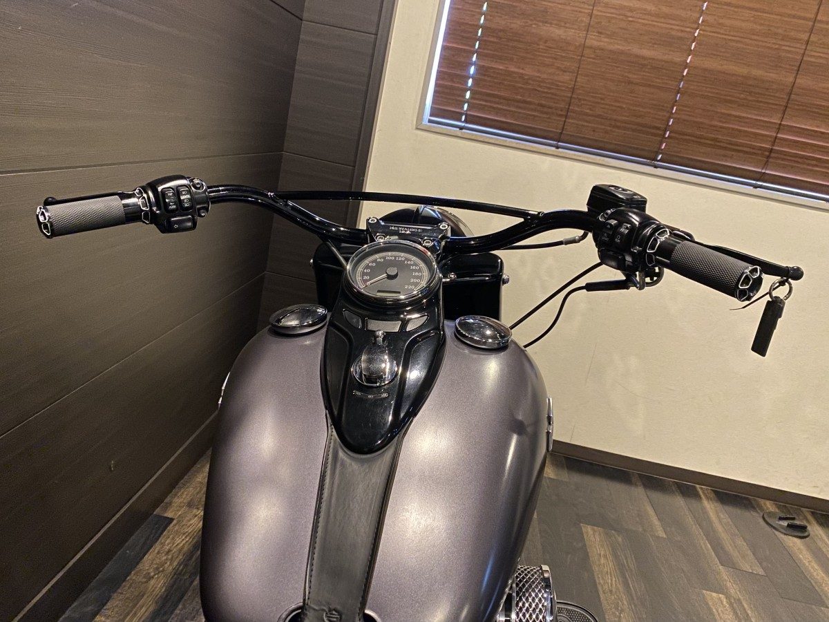 FLS 1580 ソフテイルスリム ソフテイル TC96 インジェクション イメージ7