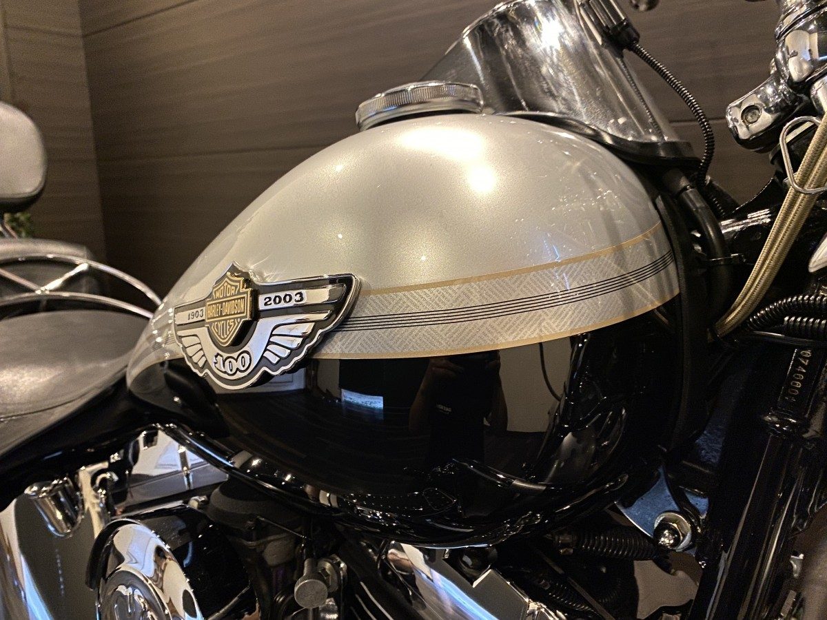 FLSTS 1450 ヘリテイジスプリンガー ソフテイル TC88 キャブ イメージ6