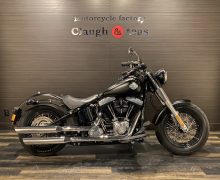 FLS 1580 ソフテイルスリム ソフテイル TC96 インジェクション サムネイル1