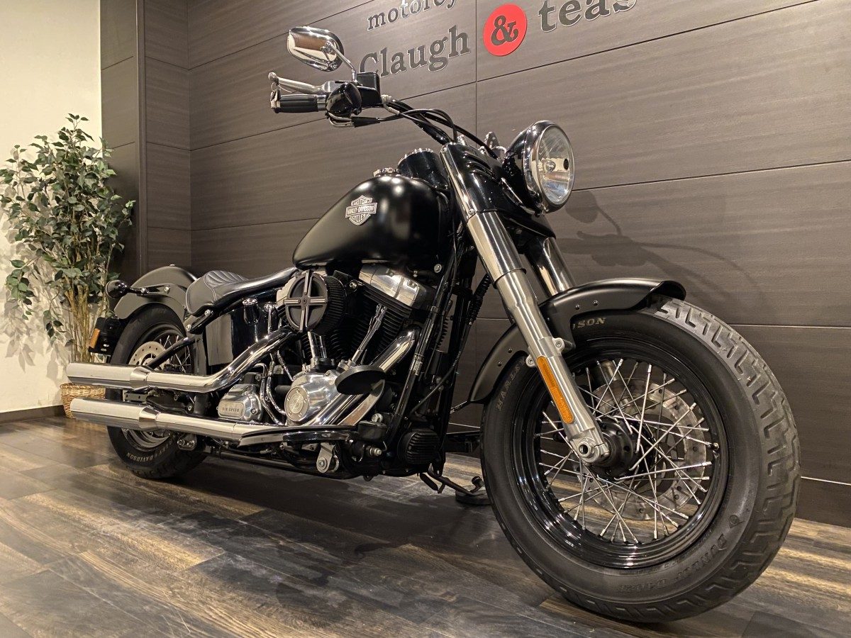 FLS 1580 ソフテイルスリム ソフテイル TC96 インジェクション イメージ2