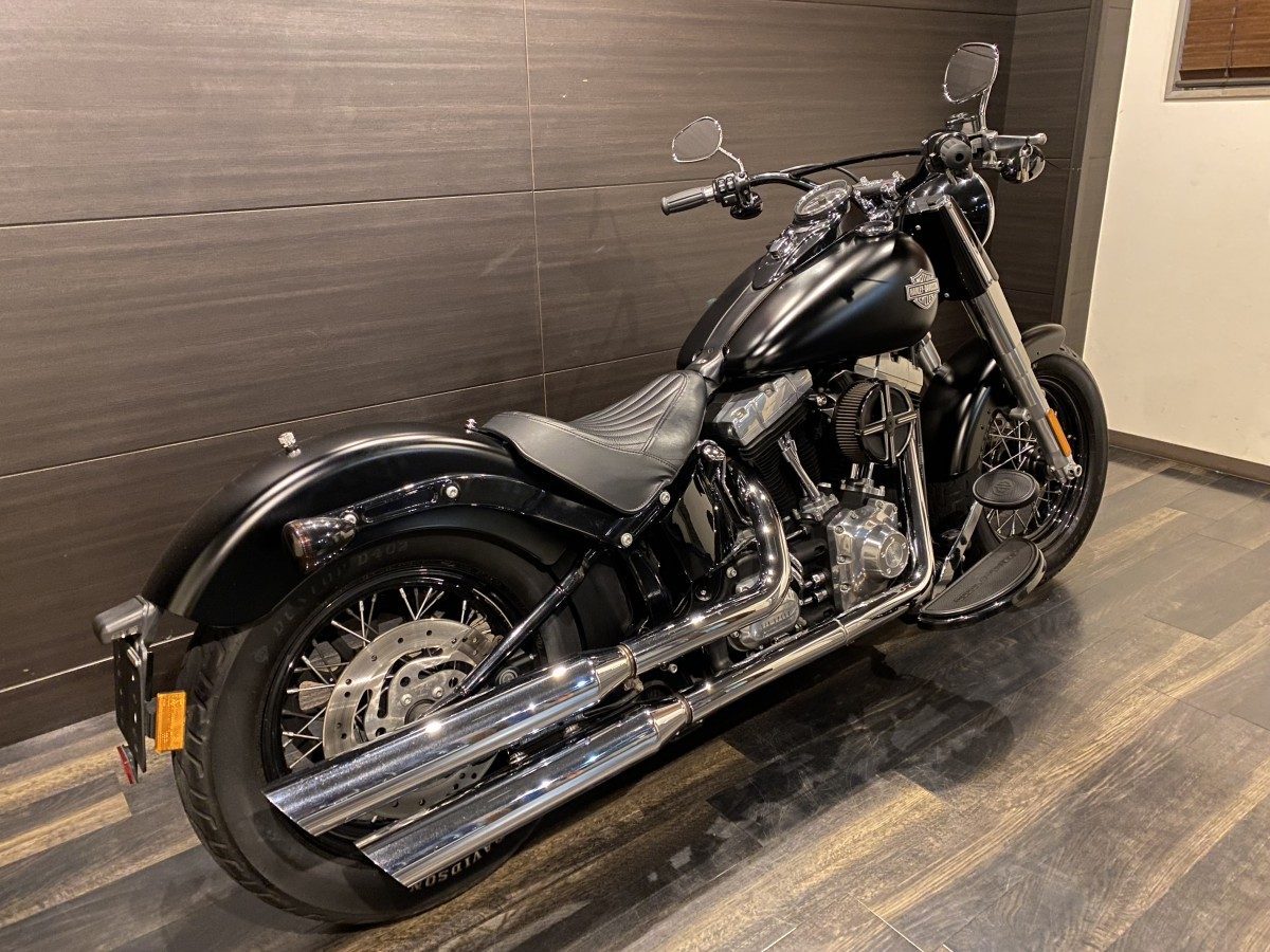 FLS 1580 ソフテイルスリム ソフテイル TC96 インジェクション イメージ3