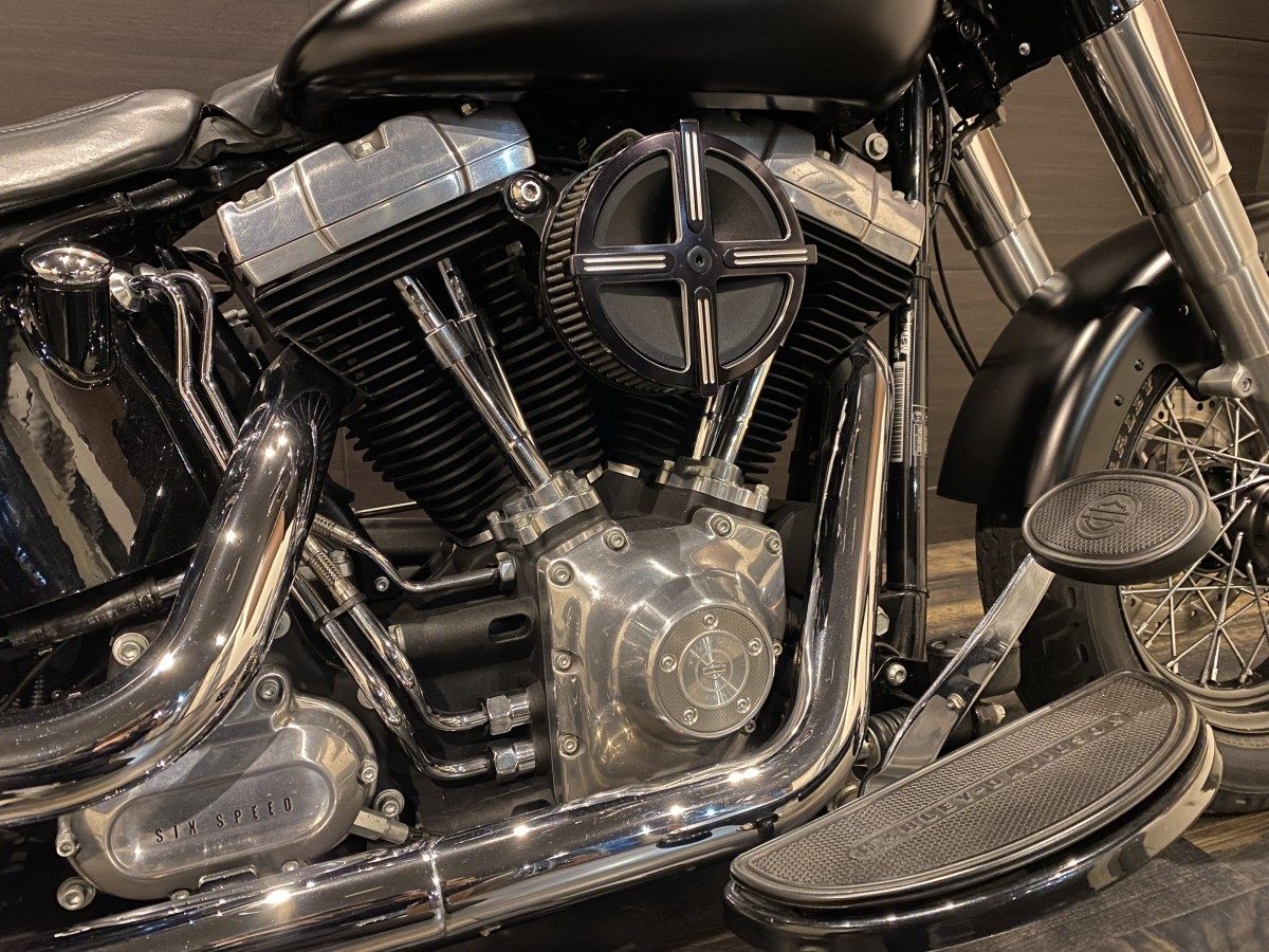 FLS 1580 ソフテイルスリム ソフテイル TC96 インジェクション イメージ4