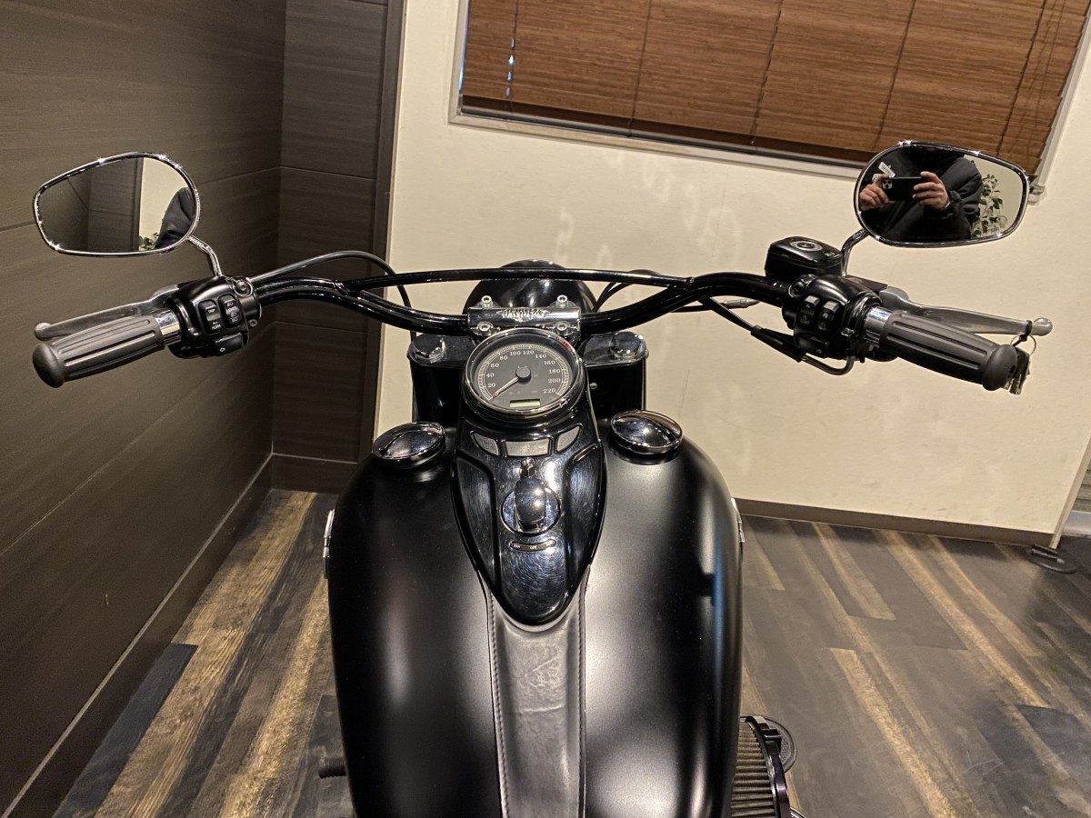 FLS 1580 ソフテイルスリム ソフテイル TC96 インジェクション イメージ6