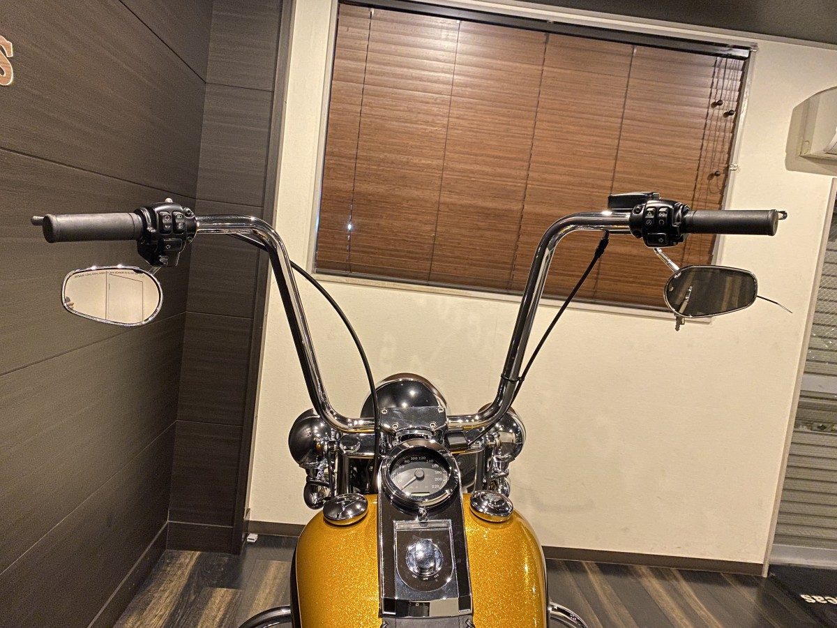 FLSTN 1690 ソフテイルデラックス ソフテイル TC103 インジェクション イメージ6