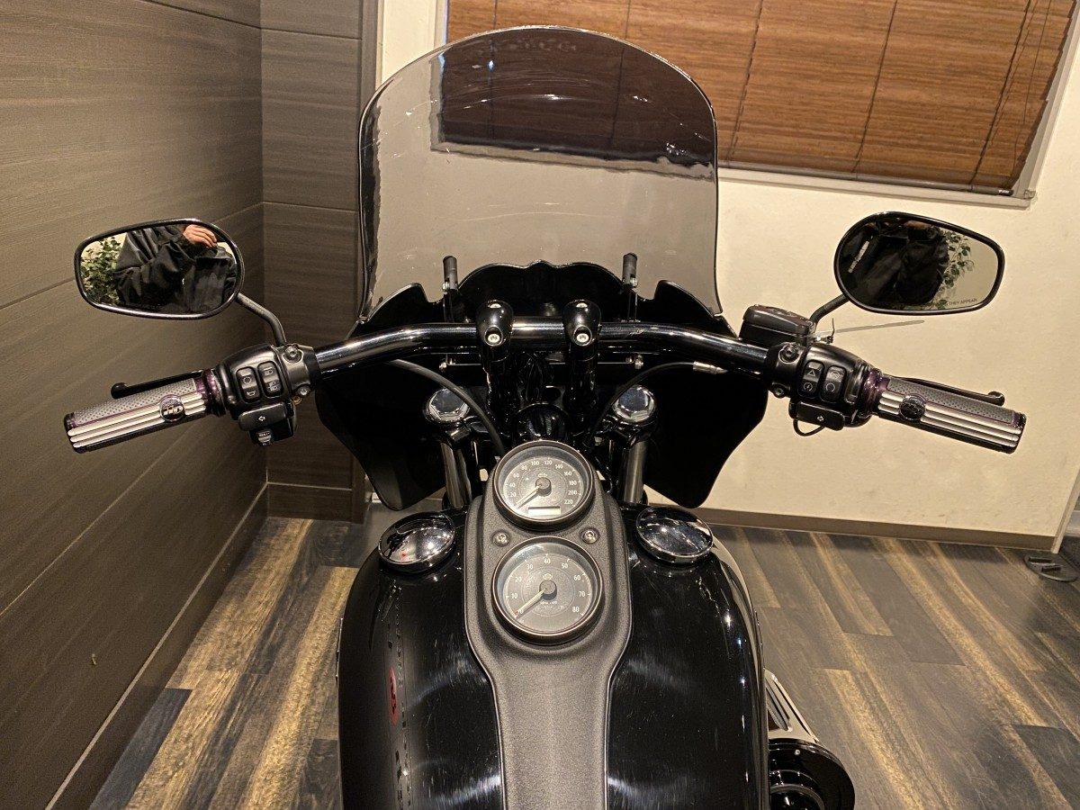 FXDLS 1800 ローライダーS ダイナ TC110 インジェクション イメージ6