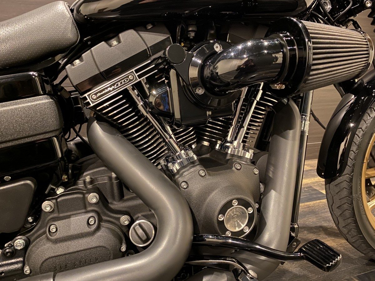 FXDLS 1800 ローライダーS ダイナ TC110 インジェクション イメージ4