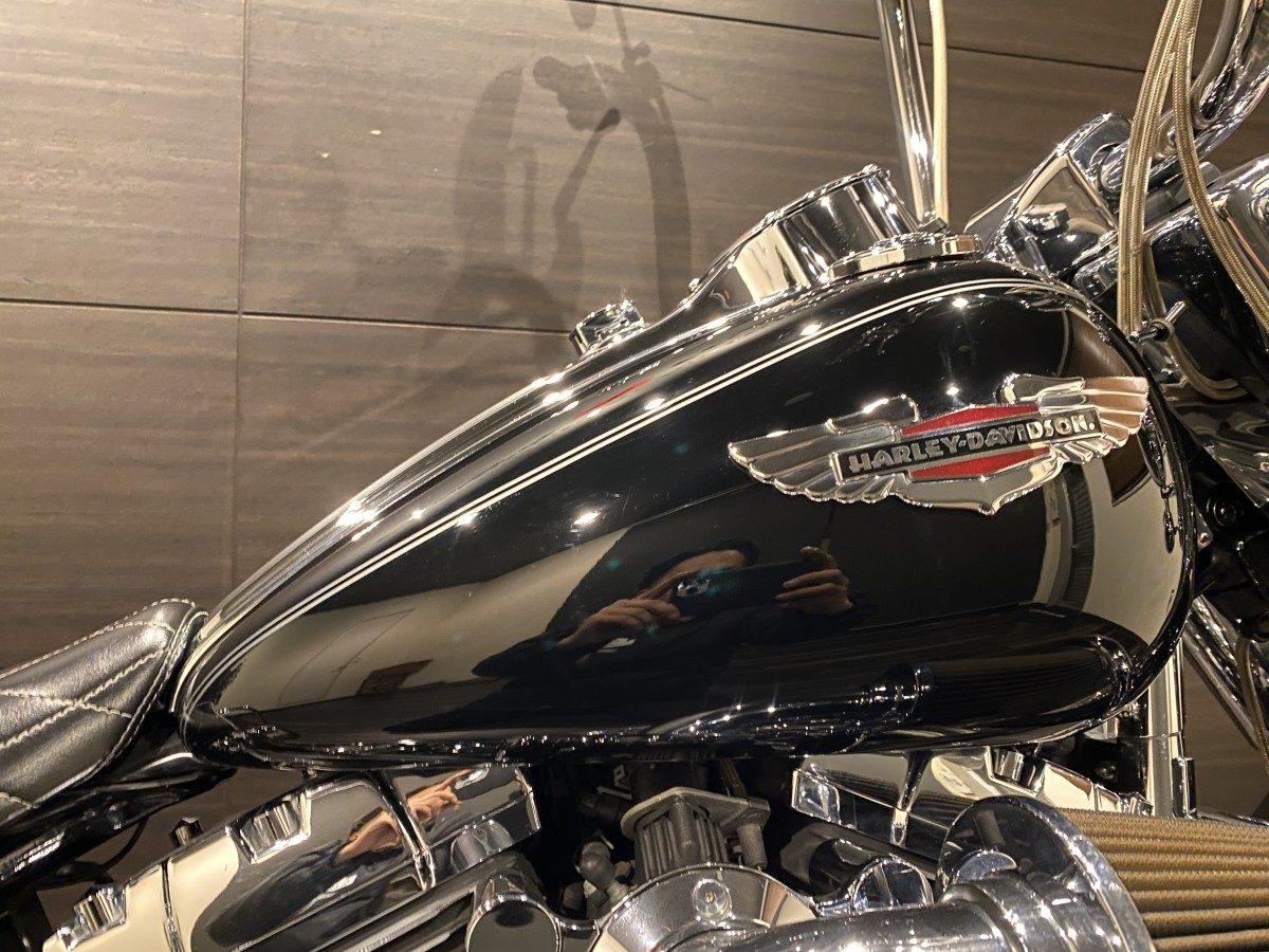 FLSTN 1580 ソフテイルデラックス ソフテイル TC96 インジェクション イメージ5