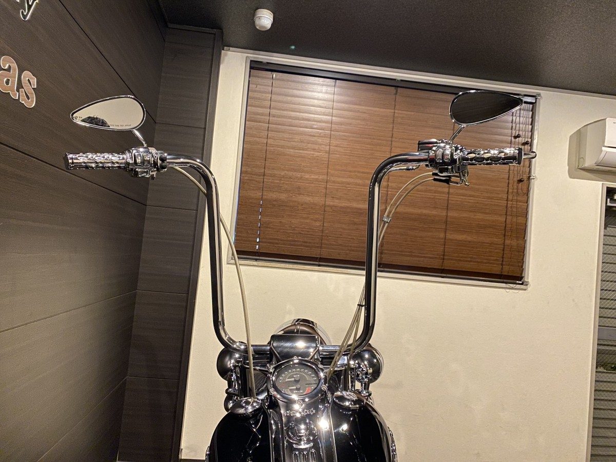 FLSTN 1580 ソフテイルデラックス ソフテイル TC96 インジェクション イメージ6