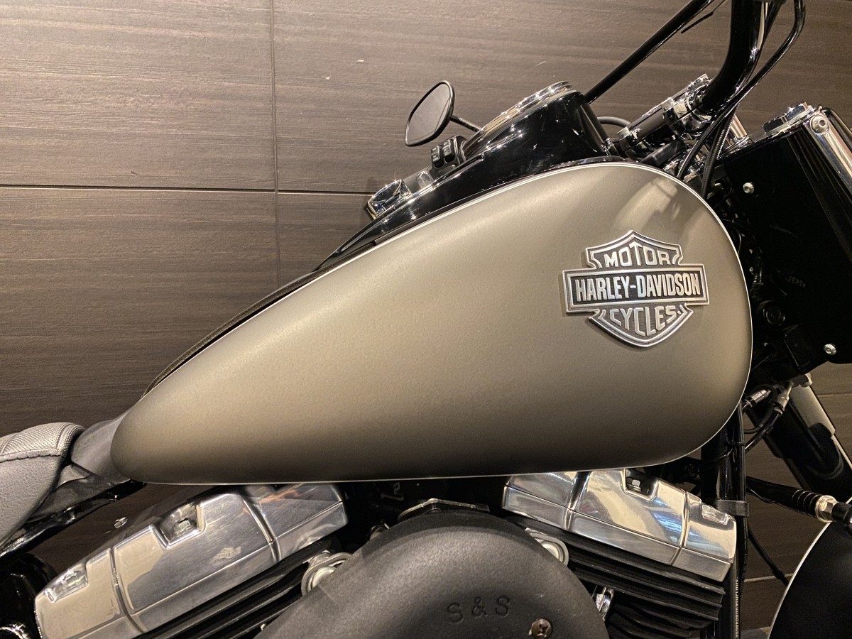 FLS 1580 ソフテイルスリム ソフテイル TC96 インジェクション イメージ5