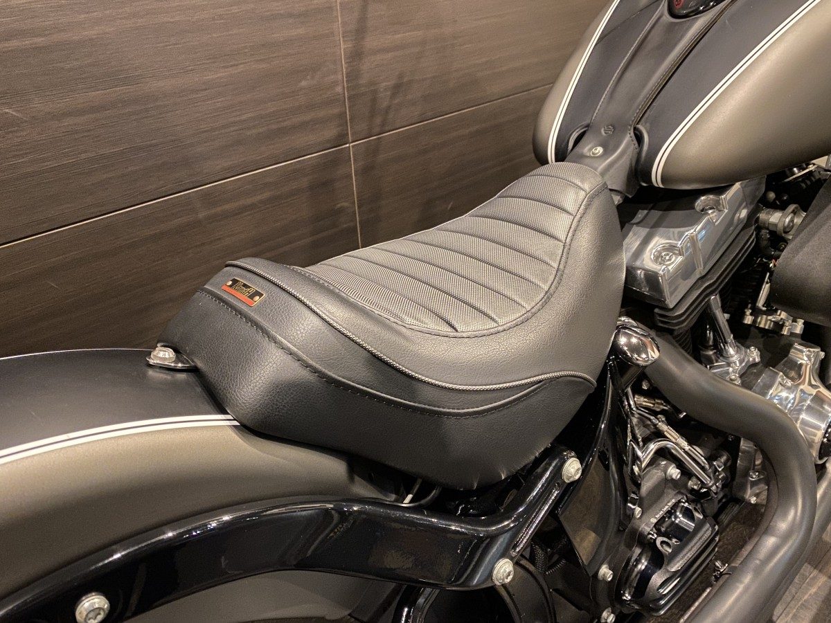 FLS 1580 ソフテイルスリム ソフテイル TC96 インジェクション イメージ7