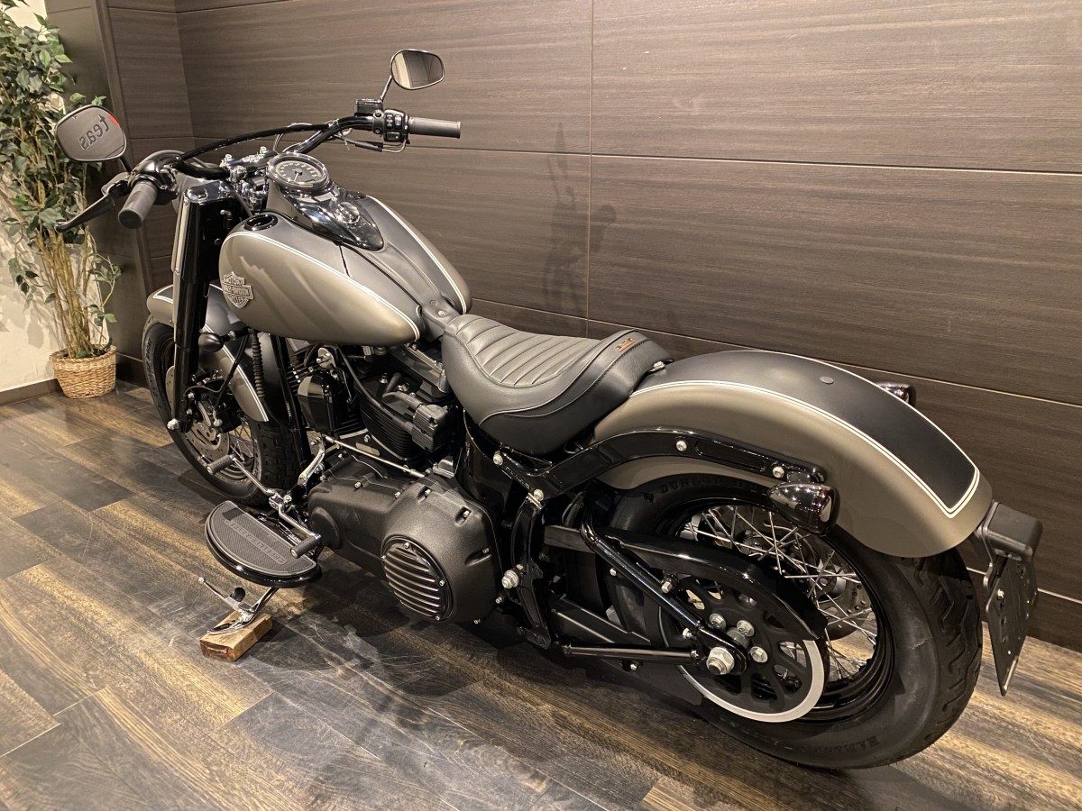 FLS 1580 ソフテイルスリム ソフテイル TC96 インジェクション イメージ11