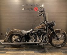 FLS 1580 ソフテイルスリム ソフテイル TC96 インジェクション サムネイル1