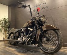 FLS 1580 ソフテイルスリム ソフテイル TC96 インジェクション サムネイル2