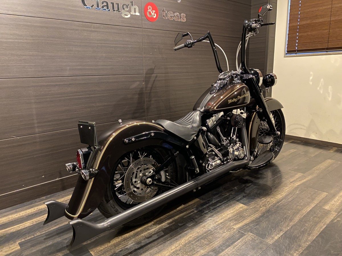 FLS 1580 ソフテイルスリム ソフテイル TC96 インジェクション イメージ3